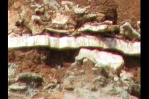 20122-210x140