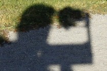 194073-210x140