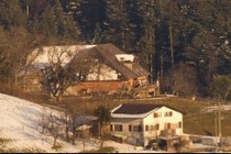 195964-210x140