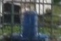 Bee Feeder