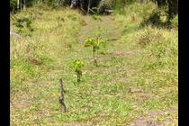 20234-210x140