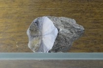 195956-210x140