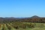 Chatooga Bell Farm