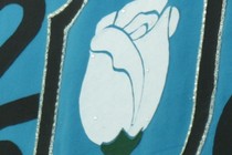 196757-210x140