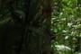 rain interupting a GigaPan
