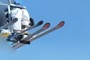 Skis