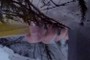 Fingers