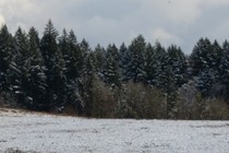 214120-210x140