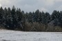 snow field