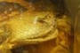 head