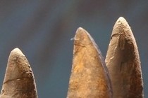 199138-210x140