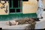 Dead Taliban from last attack last night