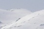 Navasomera
