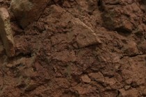 199579-210x140