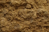 199573-210x140