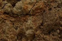 199571-210x140