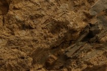 199569-210x140