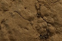 199566-210x140