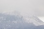 Neige