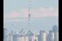 City