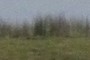 burial mound