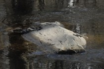 200129-210x140