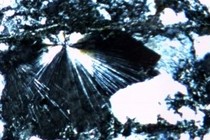 200696-210x140