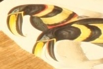 200154-210x140