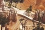 Hikers