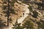 Hiker #2