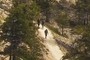 Hikers #3