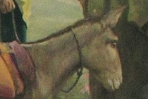 200401-210x140