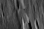 coverered up by nasa