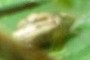 unidentified object
