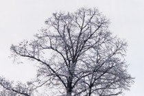 201004-210x140