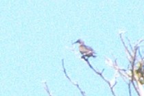201070-210x140