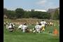 Steelers Training Camp at St. Vincent College