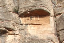201363-210x140