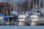 Boats