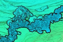 203352-210x140