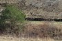 Erosion Controls