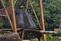 Bell