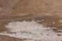 White salts