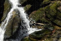 205008-210x140