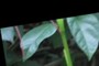 Top Left Corner