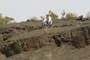 Geologist