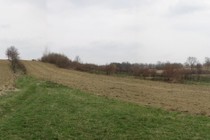 205492-210x140