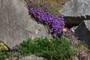 spring time
