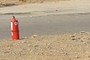 Seguridad ante todo 