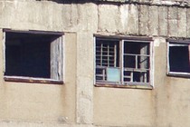 206405-210x140